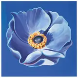 Lowell Nesbitt, Anemone '64