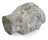 Allen Ruppersberg, Heads (3)