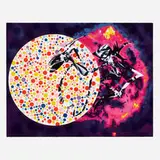 James Rosenquist, Woman in the Sun