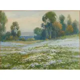 Samuel Percy, GRAY (American, 1869-1952), Wildflowers, watercolor on paper, (approximate dimensions -