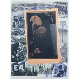 Robert Rauschenberg, Earth Day, 1970, offset