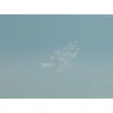 Ed Ruscha, Grey Suds, 1971, screenprint. (approximate dimensions -