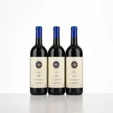 Senza titolo by Sassicaia Tenuta San Guido 1995, offered Apr 2026