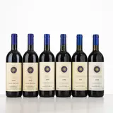 Senza titolo by Selezione Sassicaia Tenuta San Guido, offered Apr 2026