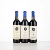 Senza titolo by Verticale Sassicaia Tenuta San Guido, offered Apr 2026