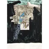 Jasper Johns, Decoy (ULAE 98; Field 134), 1971, Lithograph in colors on Rives BFK paper
