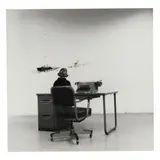 William Wegman, Watching Skier