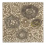 Ross Bleckner, Banding Patterns, 2000, oil on canvas