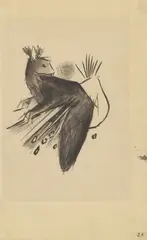 Franz Marc, Eichkätzchen, 1913, Tuschfeder und -pinsel auf Skizzenbuchpapier