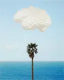 John Baldessari, Brain/Cloud (With Seascape and Palm Tree), 2009, Inkjet on Hahnemühle photo rag 308 gsm paper using archival inks