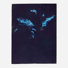 Alex Katz, Twilight, 1988, oil on Masonite