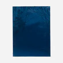 Alex Katz, Christmas Eve, 1995, oil on board