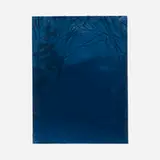 Alex Katz, Christmas Eve, 1995, oil on board