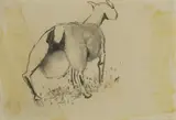 Mary Newcomb, Untitled, black chalk with coloured washes 21 x 29cm