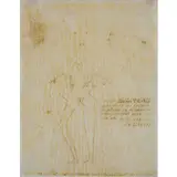 Victor Brauner, Piatra Naemtz 1903 - Parigi 1966 / Senza titolo, 1961, ink on paper