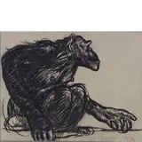 Romano Dazzi, Roma 1905 - 1976 / Lotto composto da tre disegni: / Scimmia, 1919, mixed media on paper