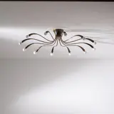 A Ceiling Lamp By O. Torlasco, Senza titolo