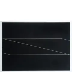 Gianni Colombo, Milano 1937 - 1993 / Elasticità spazio vitale, 1975, screenprint a colori on paper