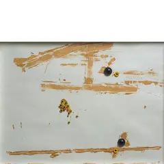 Carol Rama, Torino 1918 - 2015 / Studio n.9, 1961, mixed media