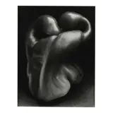 Edward Weston, Pepper No. 30