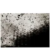 Shōmei Tōmatsu, Olympic Capriccio I, Toyko, 1962, Gelatin silver print; mounted