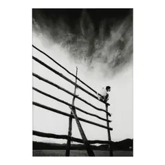 Eikō Hosoe, 'Kamaitachi #8', 1965, Gelatin silver print