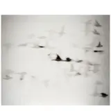 Michal Rovner, 'Mutual Interest 7'