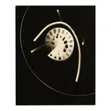 László Moholy-Nagy, Untitled (Photogram), 1939, Unique large-format photogram on developing paper; flush-mounted to board