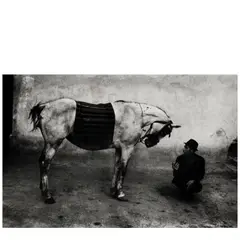 Josef Koudelka, Man with Horse, Romania, 1968, Gelatin silver print