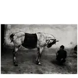 Josef Koudelka, Man with Horse, Romania