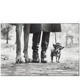 Elliott Erwitt, 'New York' (Felix, Gladys, and Rover)