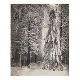 Wynn Bullock, 'Yosemite', 1959, Gelatin silver print; mounted