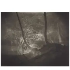 Untitled (from BAM Photography Portfolio II) by Sally Mann, 1999, Inkjet print, offered Apr 2025