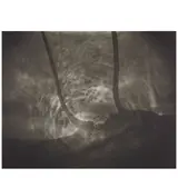 Sally Mann, Untitled (from BAM Photography Portfolio II), 1999, Inkjet print