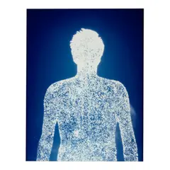 Christopher Bucklow, ''Guest' [A.F.], 4:00 pm 1st September 1993', 1993, Silver dye bleach print; initialed once and titled and dated twice in pencil on the reverse