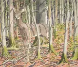Neil Welliver, Untitled, Etching