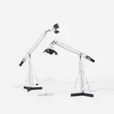 C. Jeré, Crane table lamps, pair