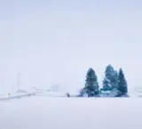Josh Elliott, White Winter, Oil on board