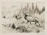 Carl Rungius, Challenged, Drypoint Etching