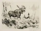 Carl Rungius, Coming to the Call, Etching & Drypoint