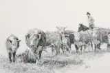 Bill Owen, Mothered Up & On the Move, Graphite