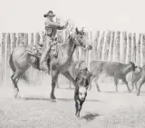 Robert Shufelt, Scoop’n Up a Black Baldy, Pencil