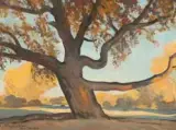 Maynard Dixon, Old Tree, Oil on board