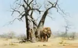 David Shepherd, Old George Under His Favorite Baobab Tree, Oil on canvas