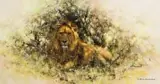 David Shepherd, Lion in Thicket, Oil on canvas