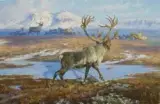 Dan Metz, Pilgrim’s Progress, Oil