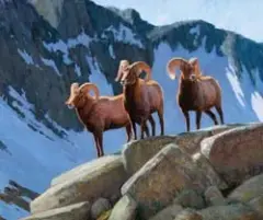 William Alther, Northside Rams, Oil on board
