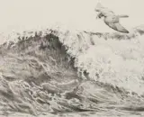 Robert Bateman, Peregrine Falcon