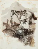 Frank B. Hoffman, Columbine, Gouache