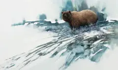 Morten Solberg, Morning Frost, Watercolor